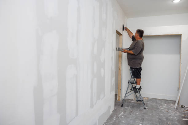 Best Basement Mold Removal  in Upland, IN