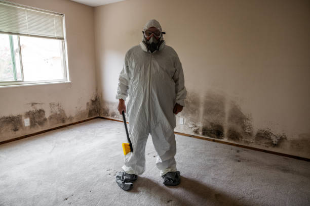 Asbestos and Lead Testing During Mold Inspection in Upland, IN