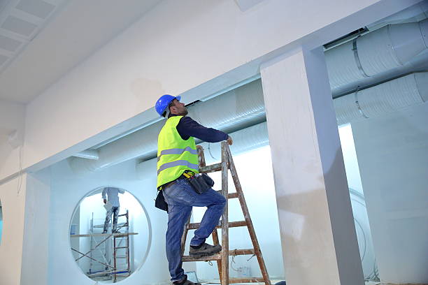 Best Commercial Mold Inspection  in Upland, IN