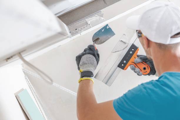 Best Mold Removal for HVAC Installations  in Upland, IN